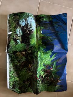 (Category: ) located in . Submitted by Woodenman (Listing ID 1237774236, Image 1). Description: .