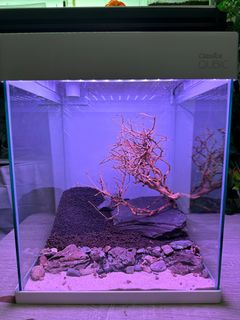 （分類：）位於 。 由 supertank10 提交（商品編號 1237809645，圖片 1）。簡介： 。