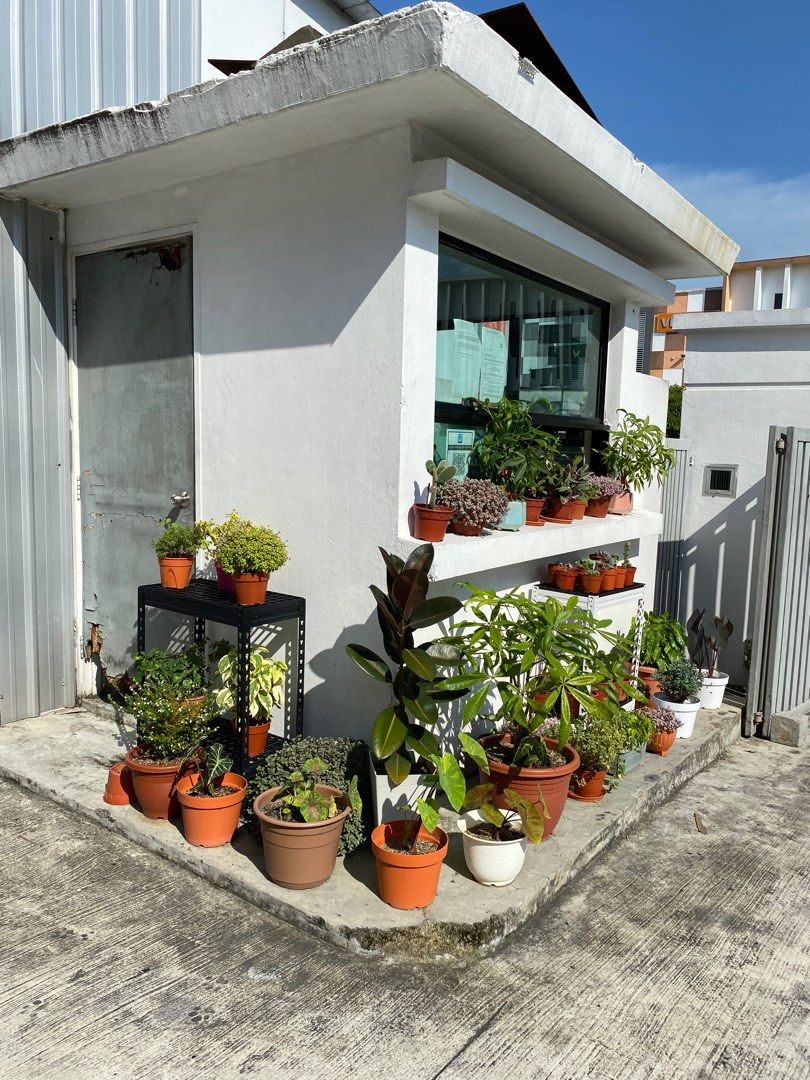 Garden Rack | Balcony Rack | Flower Rack | Storage Rack | Plastic ...