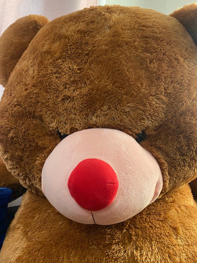 Blue magic life size teddy bear price new arrivals