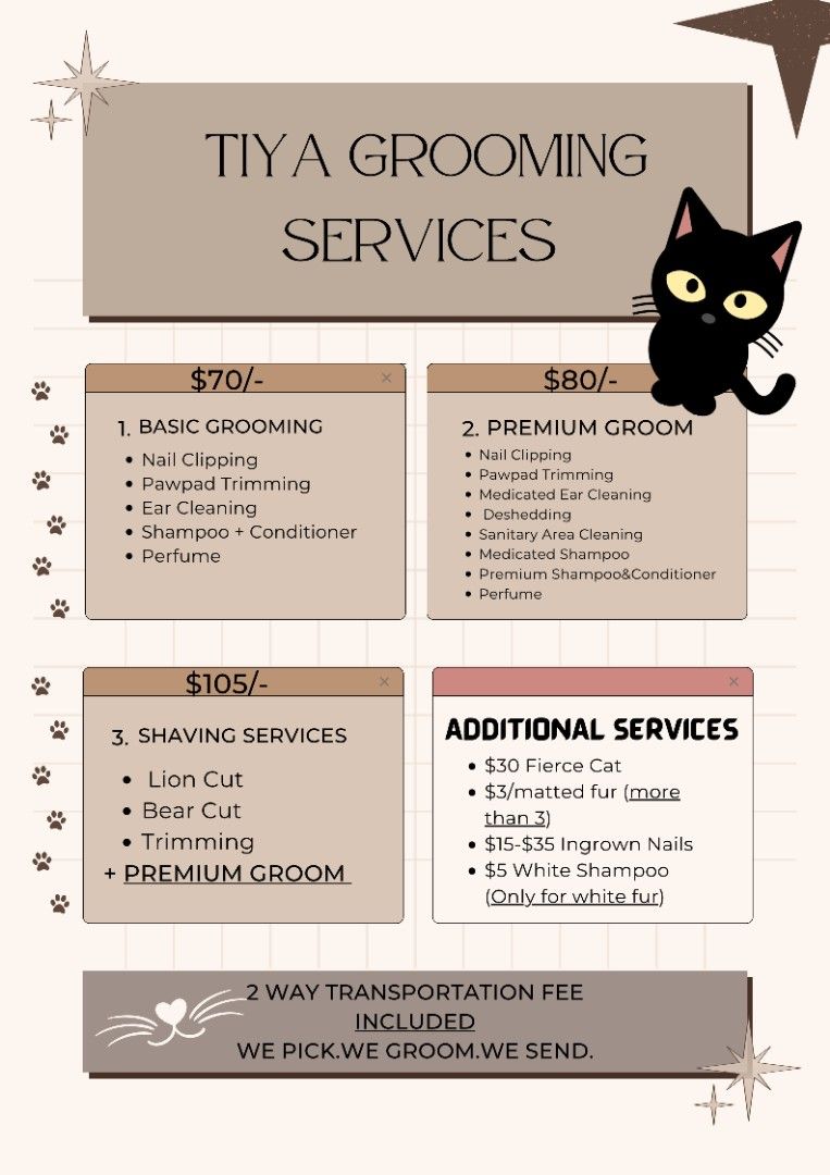 Cat cleaning services shop