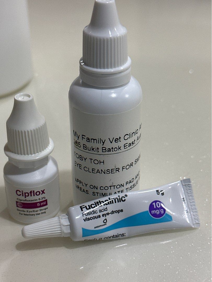 Ciprofloxacin eye clearance drops for cats