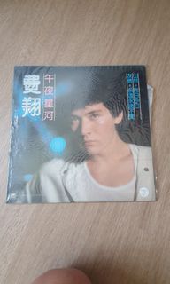 Fei xiang Vinyl 2