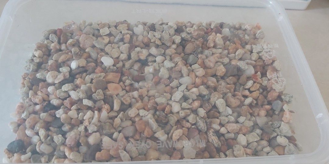 Fish Tank Set (Free gravels), Pet Supplies, Homes & Other Pet