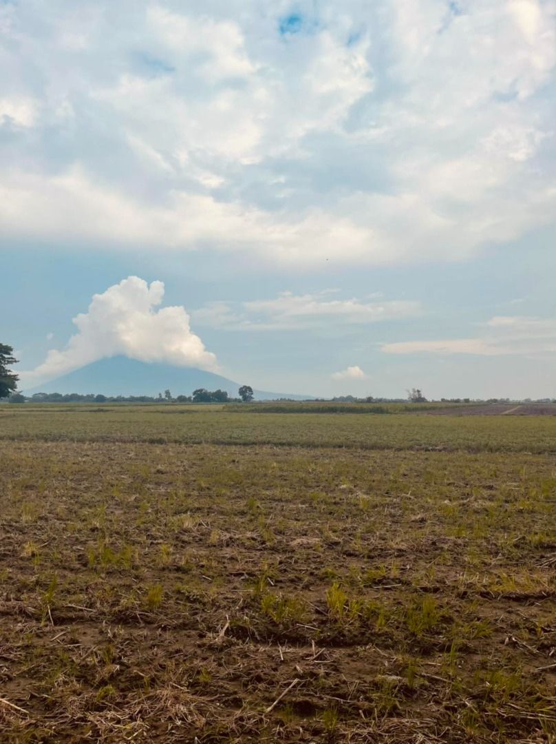 FOR SALE FARM LOT IN TARLAC WITH VIEW OF MT ARAYAT NEAR CONCEPCION