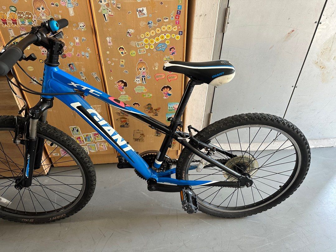 Giant xtc 24 2025