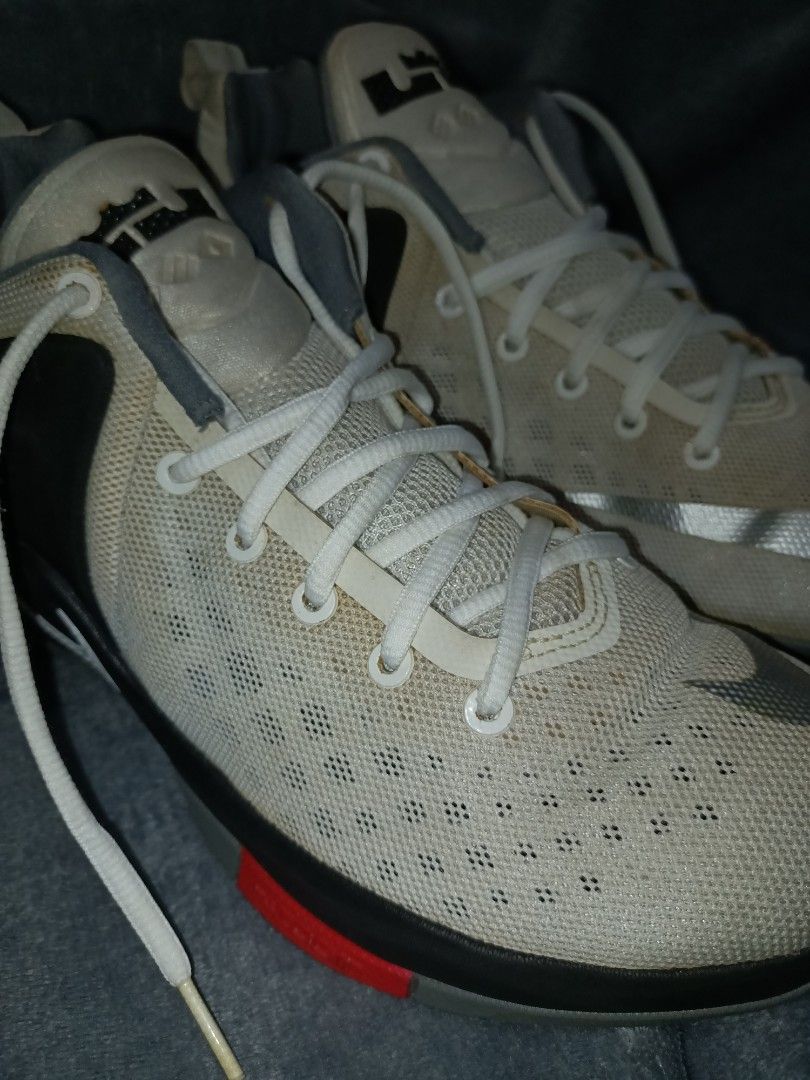 lebron zoom witness 1