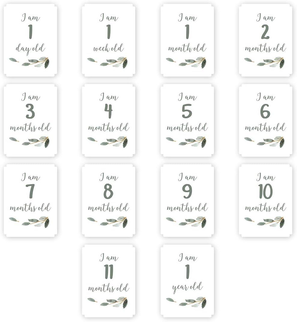 Lulujo baby's 1st year online