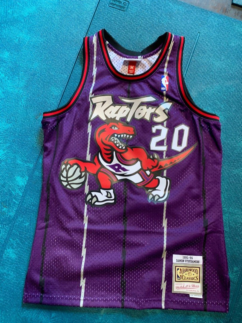 Men's Mitchell & Ness Damon Stoudamire Purple Toronto Raptors 1995-96  Hardwood Classics Swingman Player Jersey