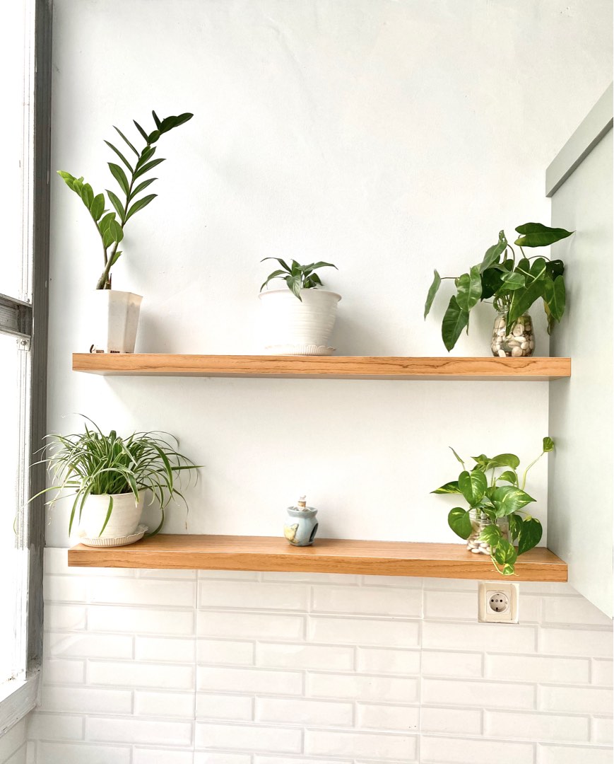 Tanaman hias mini on Carousell