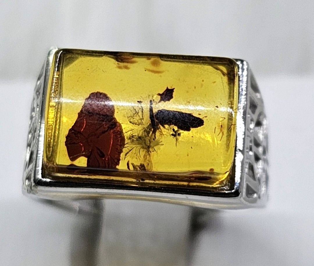 Mens amber ring cheap with insect