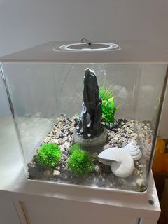 (Category: ) located in . Submitted by jay83091 (Listing ID 1237965593, Image 1). Description: .