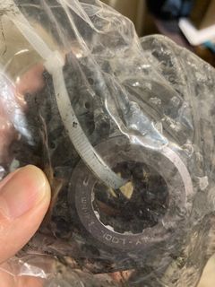 （分類：）位於 。 由 noirjpmusic 提交（商品編號 1238043208，圖片 1）。簡介： 。