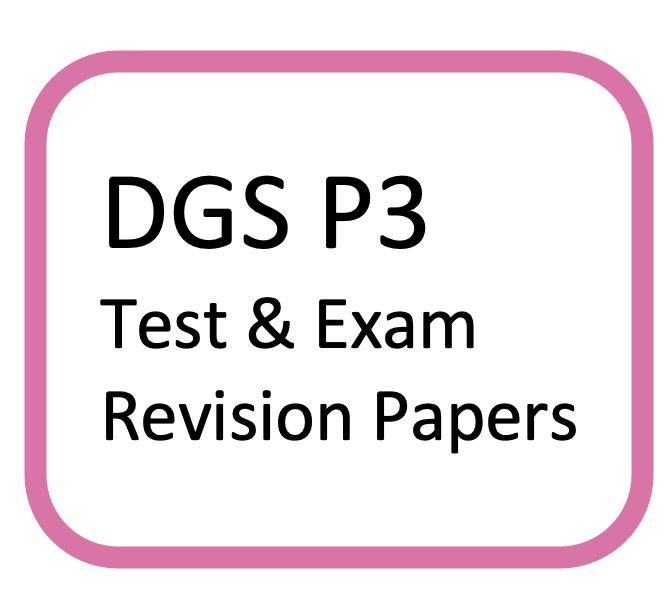 DGS DGJS P3 EXAM, 興趣與生活, 書本 & 文具, 補充練習 - Carousell