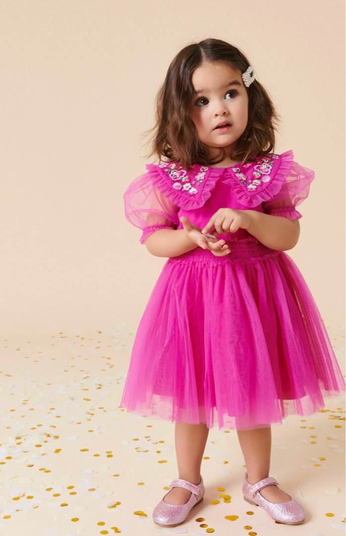 Mesh collar dress 2025