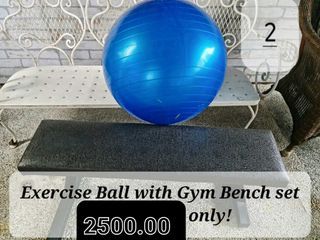 Exercise Ball with Gym bench