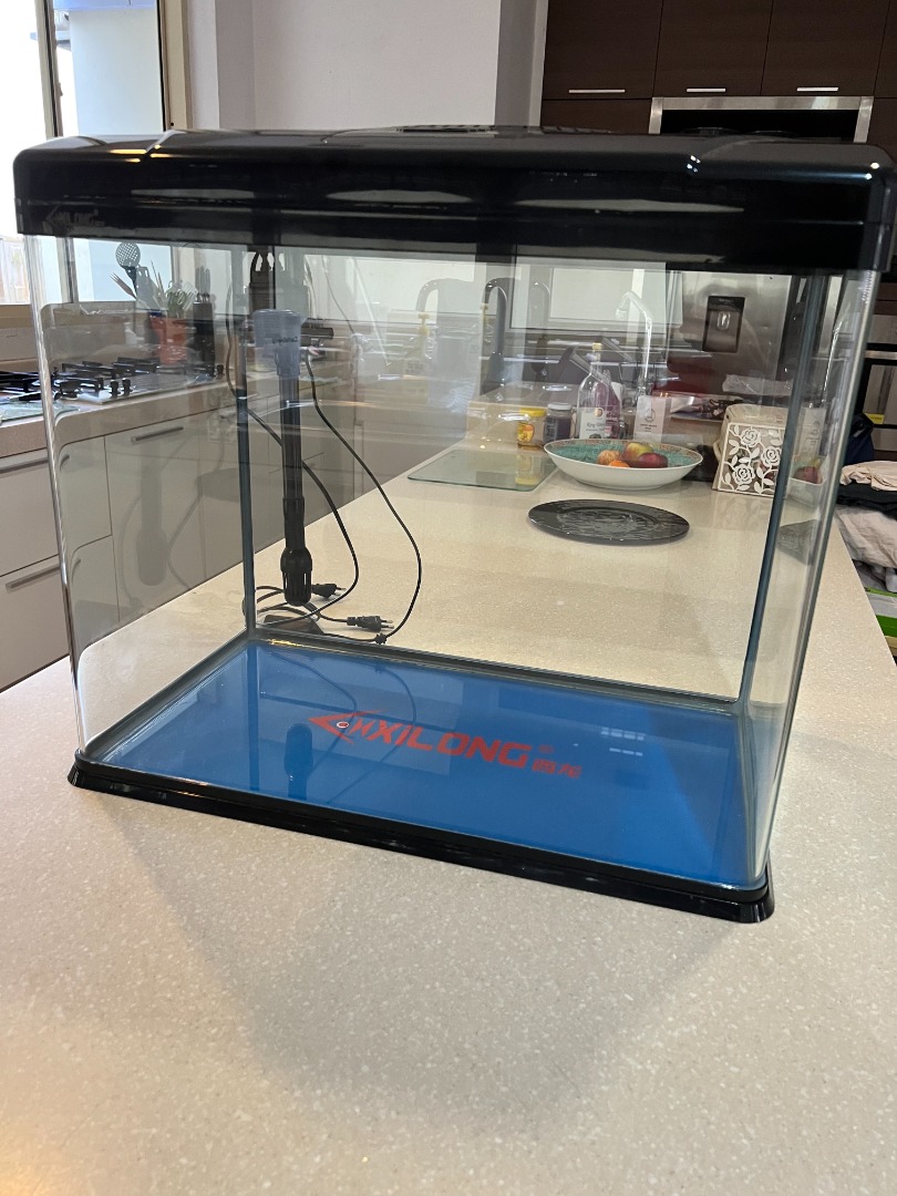 Rivo top fish tank