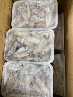 Affordable sotong kelong For Sale