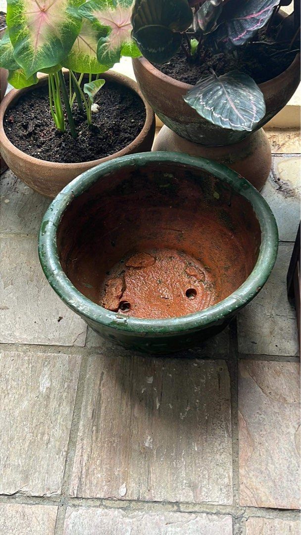 Green glazed clay pot/planter (FREE), Furniture & Home Living