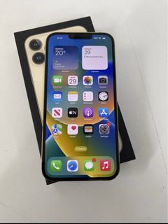 iPhone 13 Pro Max 1TB Gold