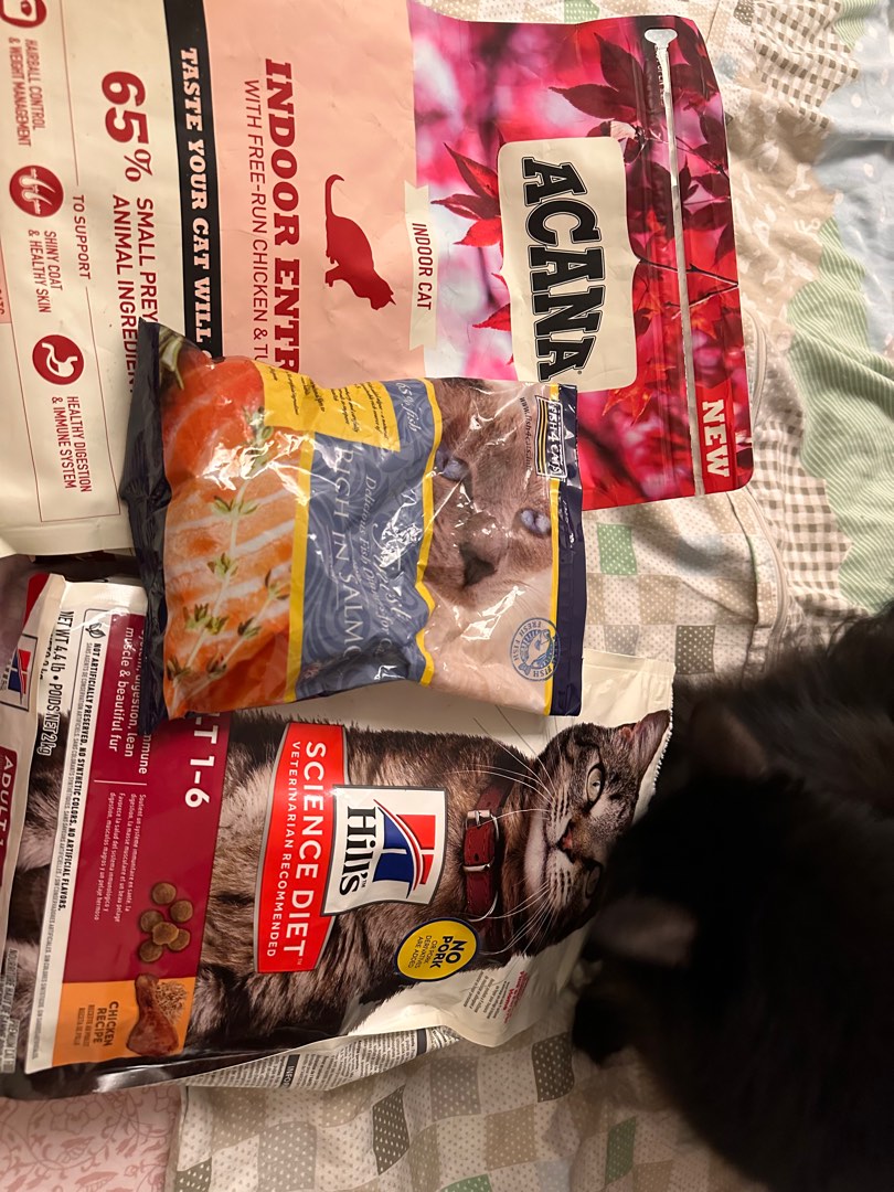 Expired dry cat hotsell food