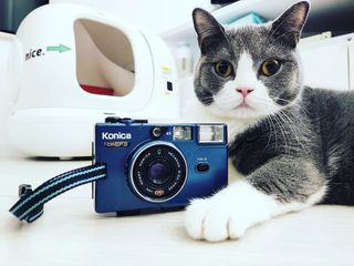 （分類：）位於 。 由 36filmcamera 提交（商品編號 1237896424，圖片 1）。簡介： 。