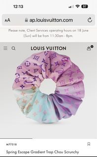 Authentic LV Silk Papillon Butterfly Bandeau, Luxury, Accessories on  Carousell