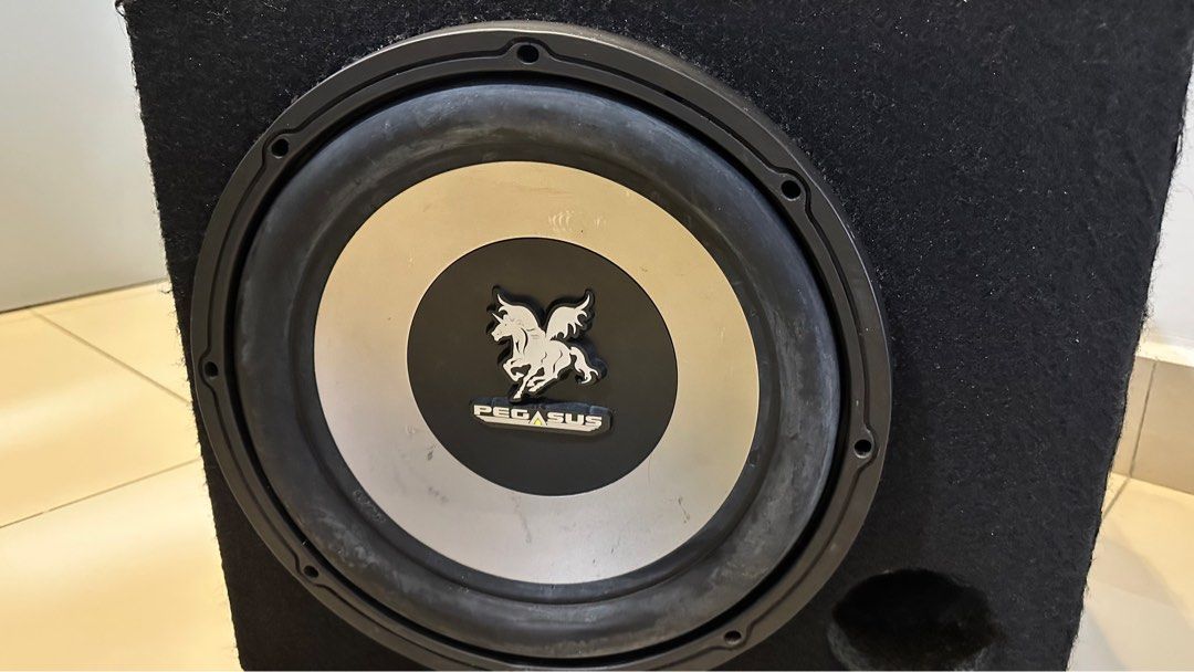 Subwoofer pegasus best sale 12 inch