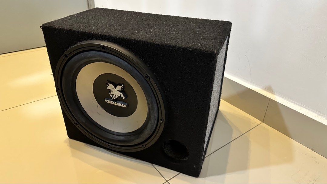 Subwoofer pegasus shop 12 inch