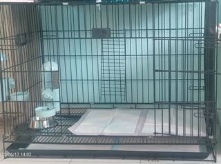 (Category: ) located in . Submitted by newocean.ae7942 (Listing ID 1237930780, Image 1). Description: .
