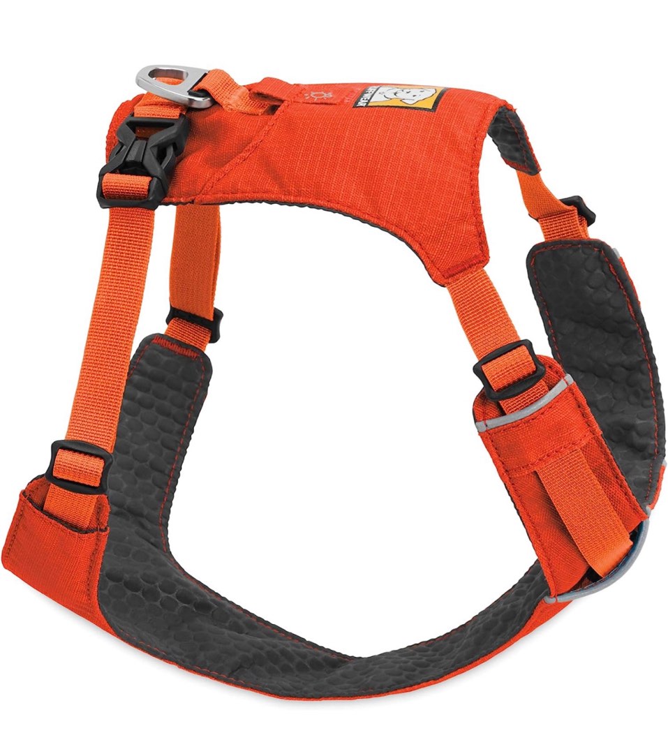 Ruffwear Harness, Pet Supplies, Homes & Other Pet Accessories on Carousell
