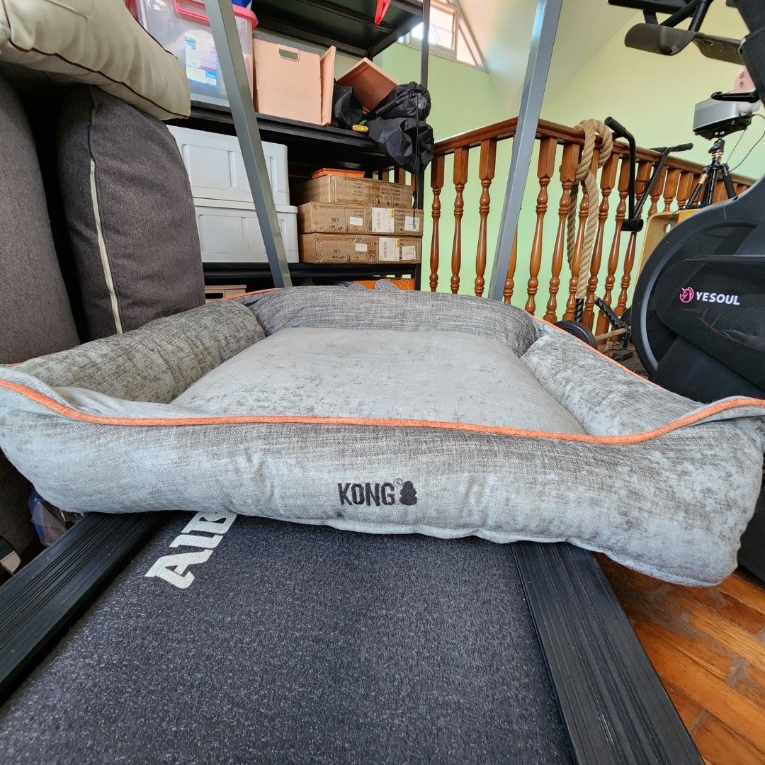 Kong deals lounger bed