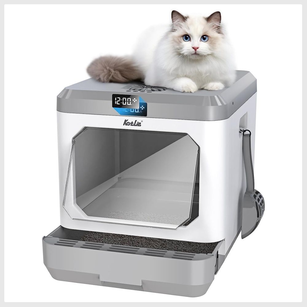 Cat litter with no smell outlet