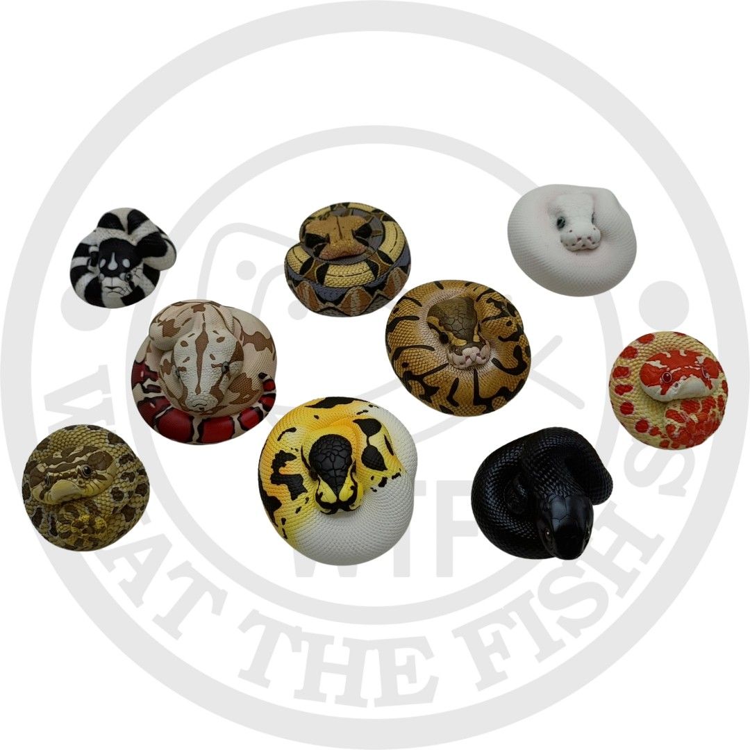 Snake figurines. Python figurines. COLLECTABLES (Category: Toy Figures) located in Singapore. Submitted by whatthefishsg (Listing ID 1237979952, Image 1). Description: resin figurines. hand painted. worthy collections. figurines measures 5 - 8cm.