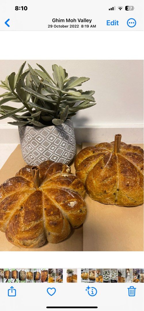 Sourdough Bread (Category: Homemade Bakes) located in Singapore. Submitted by prov1717 (Listing ID 1237994224, Image 2). Description: Freshly baked sour dough bread using - starter (no preservatives) - premium bread flour - spelt flour - Himalayan salt - approx 400 grams Inclusions : additional $2/- Rosemary Walnuts Sesame seeds Dried cranberries Olive Cheddar cheese Advanced booking : 3days Collection at 22 Ghim Moh Link.
