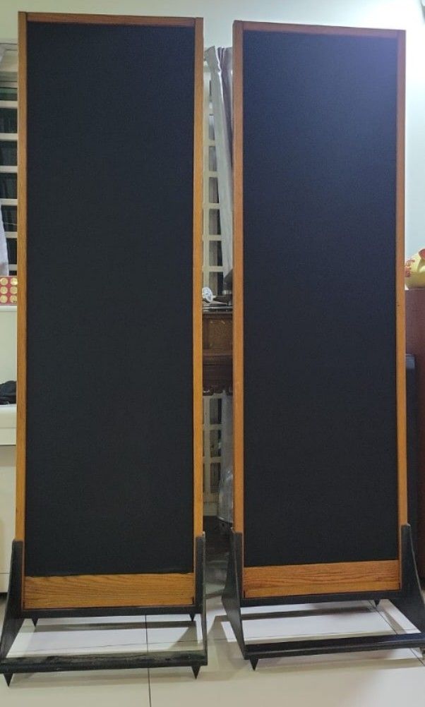 SUPER RARE MG II B Magneplanar Loudspeaker only one speaker in working condition