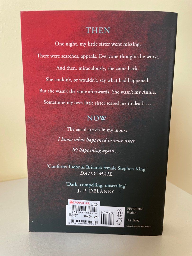 The taking of sales annie thorne cj tudor