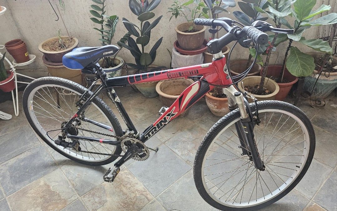 Bicicleta viaggio store rodado 26