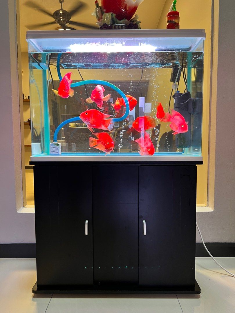 Used aquarium equipment for sale discount