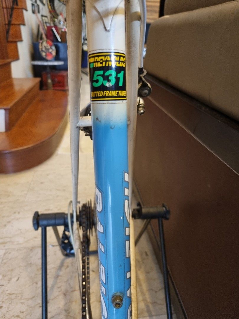 Raleigh 531 hotsell frame