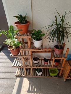 (Category: ) located in . Submitted by vibhoratal (Listing ID 1237885328, Image 1). Description: .