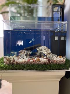 (Category: ) located in . Submitted by firdousheila (Listing ID 1238113709, Image 1). Description: .