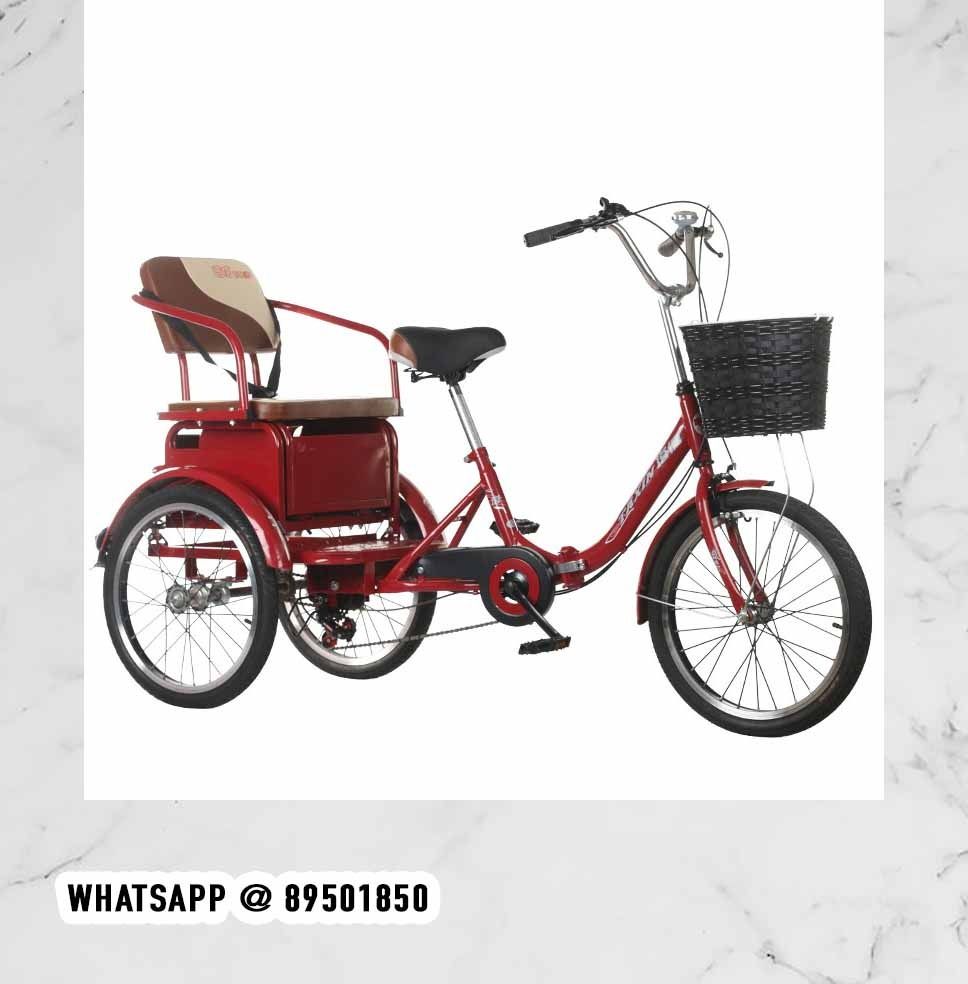 Tricycle for adults hotsell with baby seat