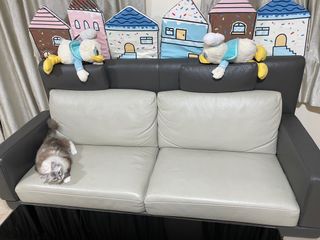 （分類：）位於 。 由 cool_coolll 提交（商品編號 1238186755，圖片 1）。簡介： 。