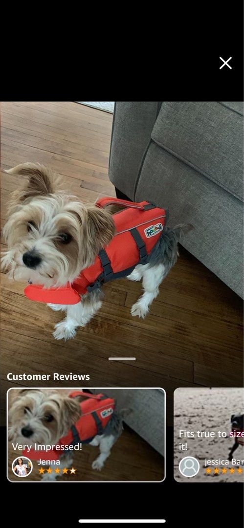 Outward Hound Granby Splash Orange Dog Life Jacket, Large