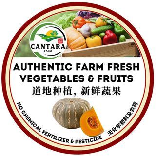 Authentic Farm Fresh Pumpkin正宗农场新鲜金瓜销售1-1.9kg