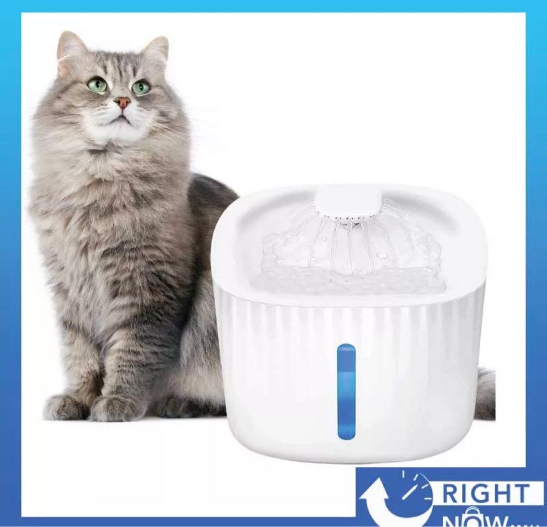 Cat water feeder cheap