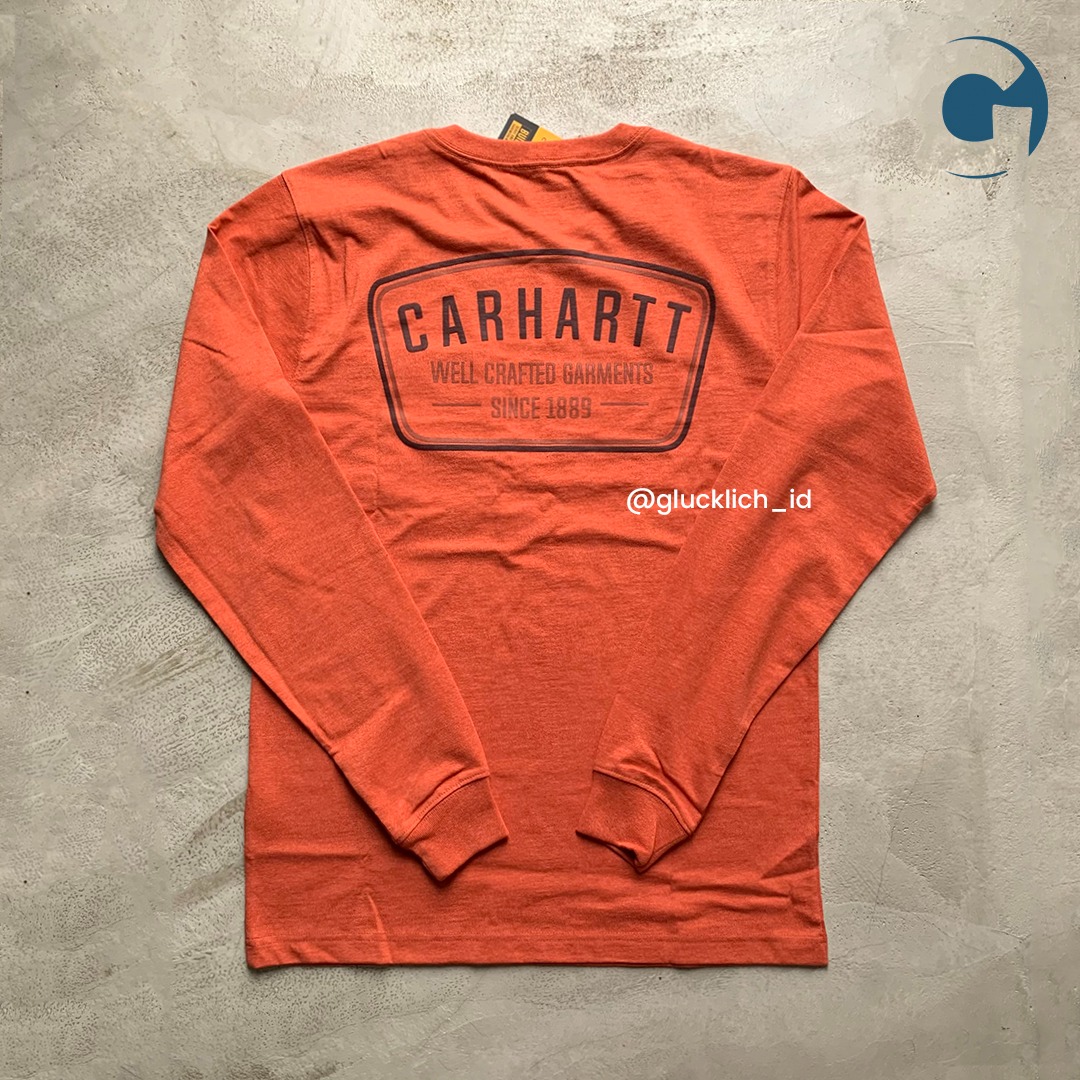 Carhartt, Relaxed Fit Long Sleeve Pocket Crafted Graphic in Desert ...