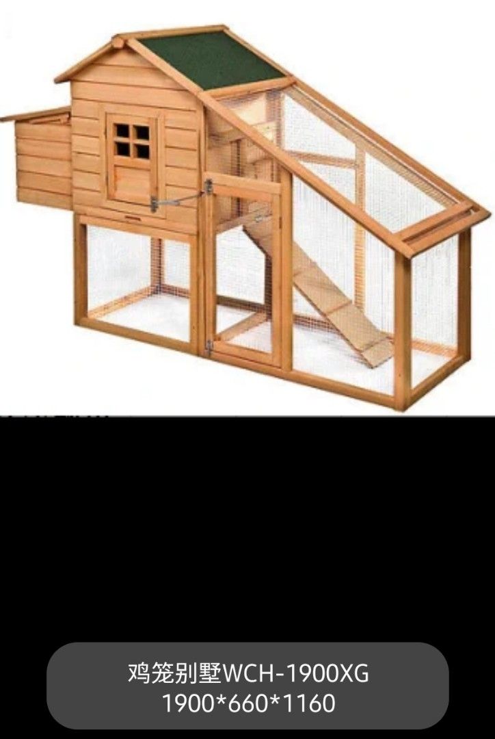 Chicken Coop, Pet Supplies, Homes & Other Pet Accessories on Carousell