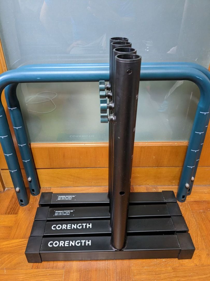 Decathlon hotsell bar dips